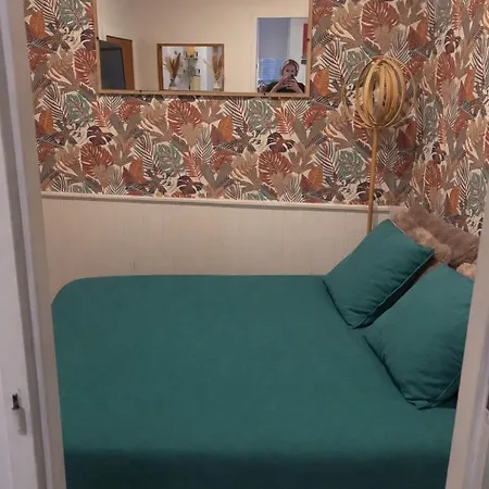 Апартаменты Cozy Equipped And Parking - Center Клермон-Ферран